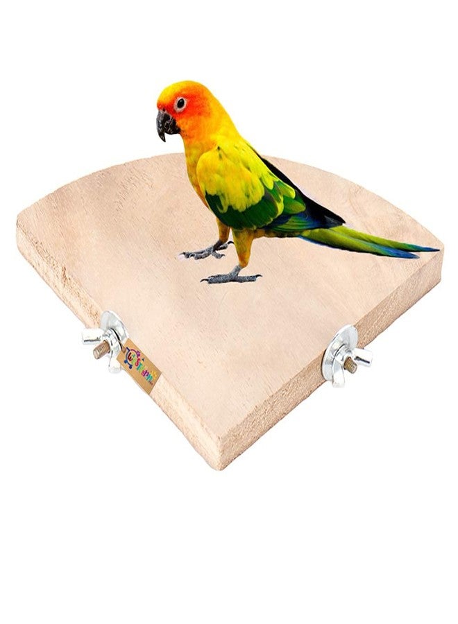 ويستيرن إرا منصة زاوية/مجثم/حامل لعبة طيور من العصر الغربي (للطيور المتوسطة والكبيرة) (8 بوصات) - Image 1